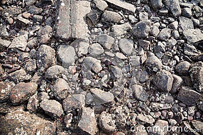 Ocean small stones texture Stock Photo