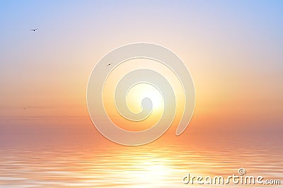 Ocean sunrise and birds Stock Photo