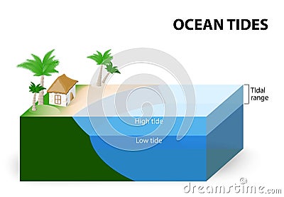 Ocean Tides Vector Illustration