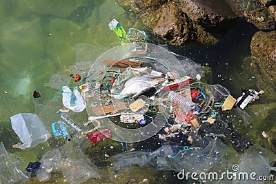 Ocean Trash Stock Photo