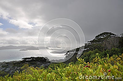 Ocean view over Praslin island with dramatic sky and the tropical Cocoplum Chrysobalanus icaco plant in foreground Stock Photo