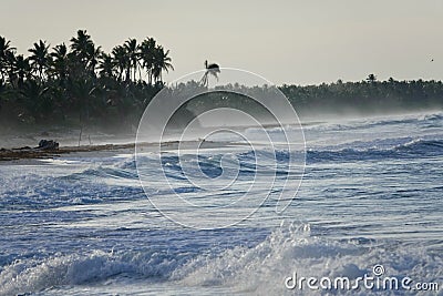 Ocean waves at Coson Beach, Las Galeras, Dominican Republic Stock Photo