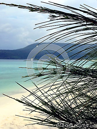 Ocean, waves, palms, sunsets palms Cambodia Stock Photo