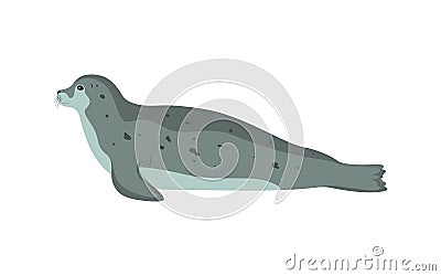 Oceanic animal seal Vector Illustration