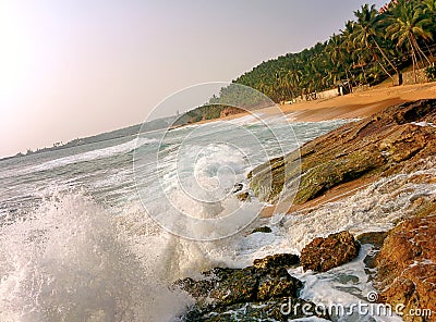 Oceanic Coast with big waves and palm trees Stock Photo