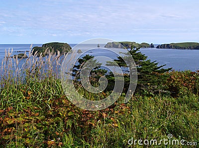 Oceanic landscape Stock Photo