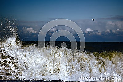 Oceanic waves during storm. water roll forward, boils at shore, force of nature Stock Photo