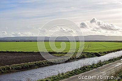 Oceanside walk long grass road stream fields clouds sunshine fields green agriculture fence mowing Stock Photo