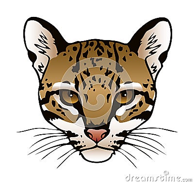 Ocelot Cartoon Illustration