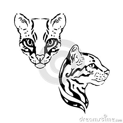 Ocelot set vector Vector Illustration