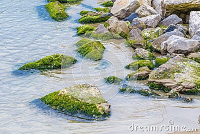 Ocks covered with moss and green algae Stock Photo