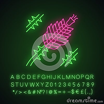 Ocotillo neon light icon Vector Illustration