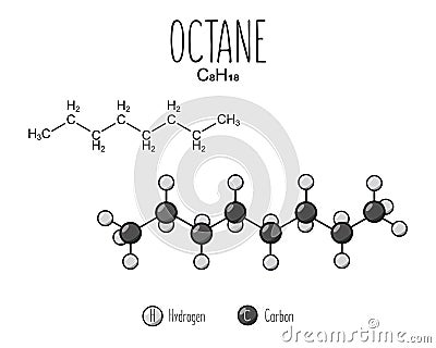 Octane Skeletal Structure and Flat Model Representation Vector Illustration