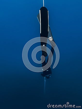 October 03, 2022. Amed, Indonesia. Freediver in wetsuit with fins training dive on deep in blue ocean. Professional freediving Editorial Stock Photo