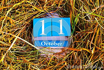 October 11th. Blue cube calendar with month and date Stock Photo
