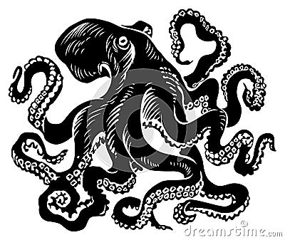 Octopus Vector Illustration