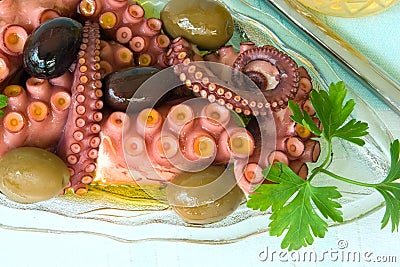 Octopus, appetizer Stock Photo