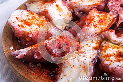 Octopus close view Stock Photo