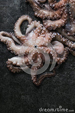 Octopus. Creative concept of healthy food with photos of delicious seafood from octopus Stock Photo