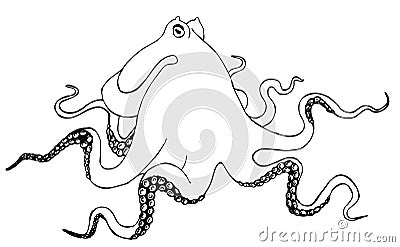 Octopus. Drawing for coloring Vector Illustration