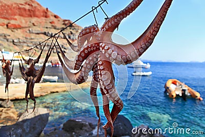 Octopus drying in greece santorini and light Stock Photo