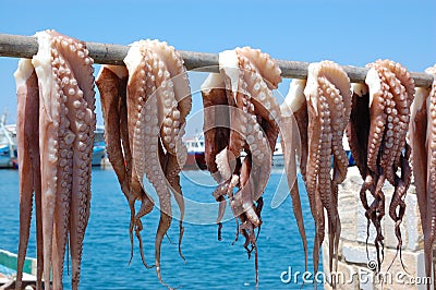Octopus drying in greek islands Stock Photo