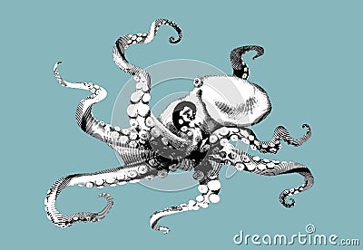 octopus engraving. Realistic octopus illustration. High quality graphic Cartoon Illustration