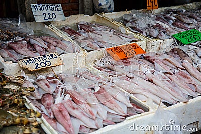 Octopus fresh seafood Stock Photo