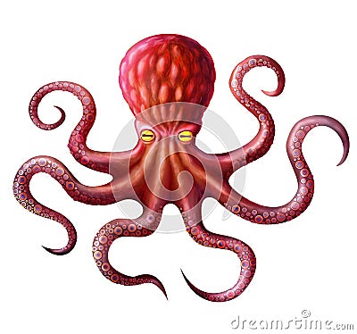 Octopus Stock Photo