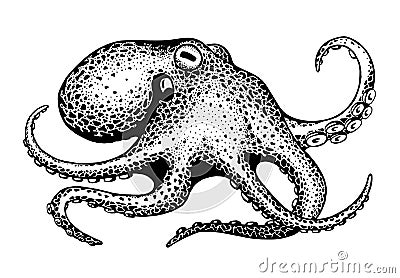 Octopus, ink drawing Vector Illustration