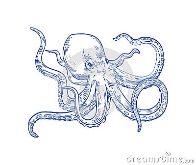 Octopus or Kraken drawn with contour lines on white background. Marine animal or mollusc with tentacles, deep sea Vector Illustration