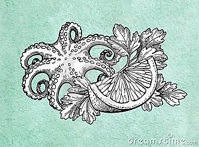 Octopus with lemon and parsley. Vector Illustration