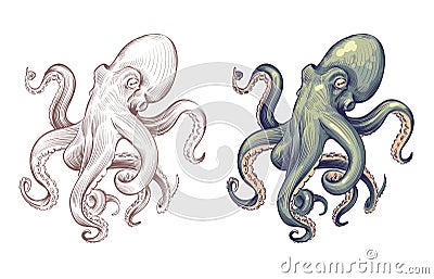 Octopus. Seafood sea animal squid with tentacles cartoon and hand drawn style. Octopuses vector set Vector Illustration