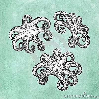 Octopus set on old paper Vector Illustration