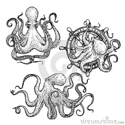 Octopus sketch hand drawn vector illustrations set. Octopus on the helm. Engraving line art collection. Vector Illustration