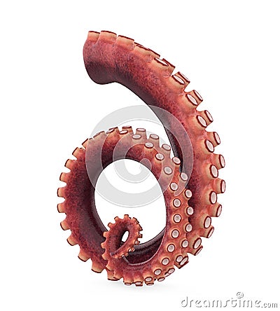 Octopus Tentacle Isolated Stock Photo