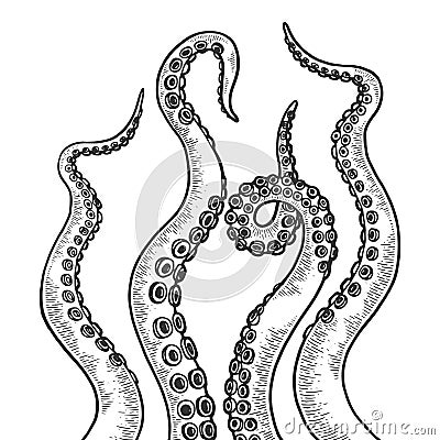 Octopus tentacle set sketch engraving vector Vector Illustration