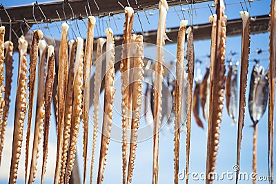 Octopus tentacles Stock Photo