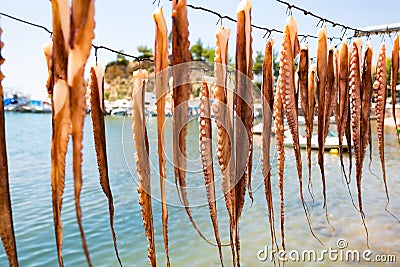 Octopus tentacles. Sea food. Stock Photo