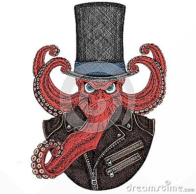 Octopus vector portrait. Sea marine creature, beast. Stock Photo