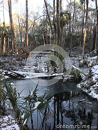 An odd look at snowy South Carolina - Hunting Island - USA Stock Photo