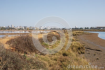 The Odiel Marches with Huelva in the background Stock Photo