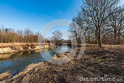 Odra river with grass, trees around and clear sky in CHKO Poodri in Czech republic Stock Photo