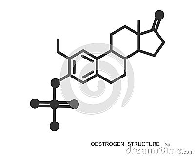 Oestrogen icon. Estrogen chemical molecular structure. Female steroid sex hormone sign. Hormone replacement therapy Vector Illustration