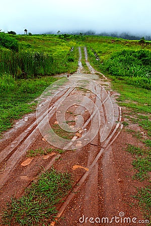 Off road track Stock Photo