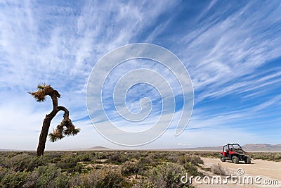 Off Road Vehicle and Joshua Tree Stock Photo