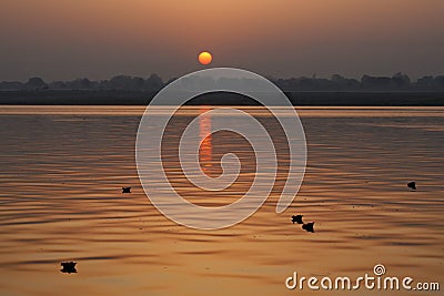 Offerings floating down the river Ganges Stock Photo