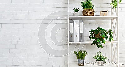 Office bookshelf with plants and folders over wall Stock Photo