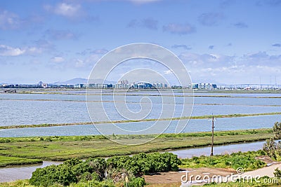 Office buildings on the shoreline of San Francisco bay as seen from Bedwell Bayfront Park, Redwood City, Silicon Valley, Stock Photo