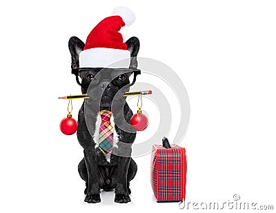 Dog office worker on christmas holidays Stock Photo